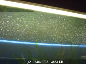 Картинка с форума